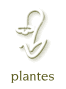 autres plantes